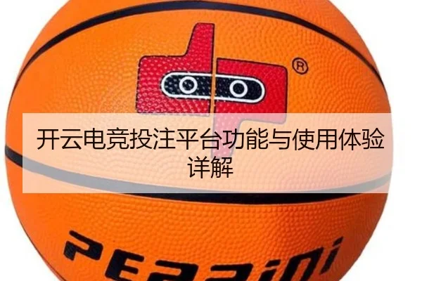 开云电竞投注平台功能与使用体验详解