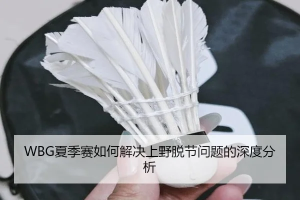 WBG夏季赛如何解决上野脱节问题的深度分析
