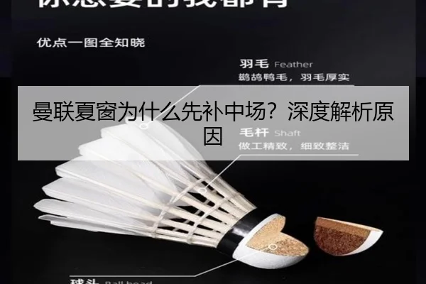 曼联夏窗为什么先补中场？深度解析原因